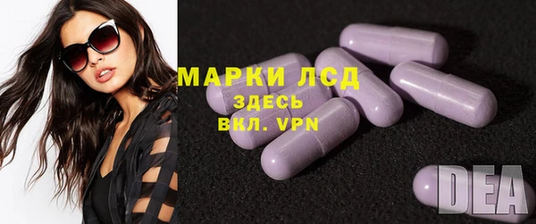 стаф Аркадак