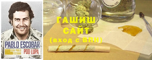 стаф Аркадак