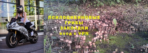 герыч Арсеньев