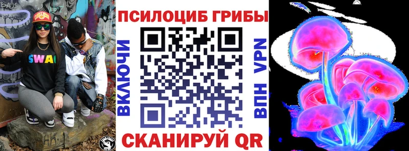 Псилоцибиновые грибы Psilocybe  KRAKEN tor  Валдай 